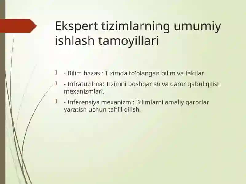 Ekspert tizimi 4