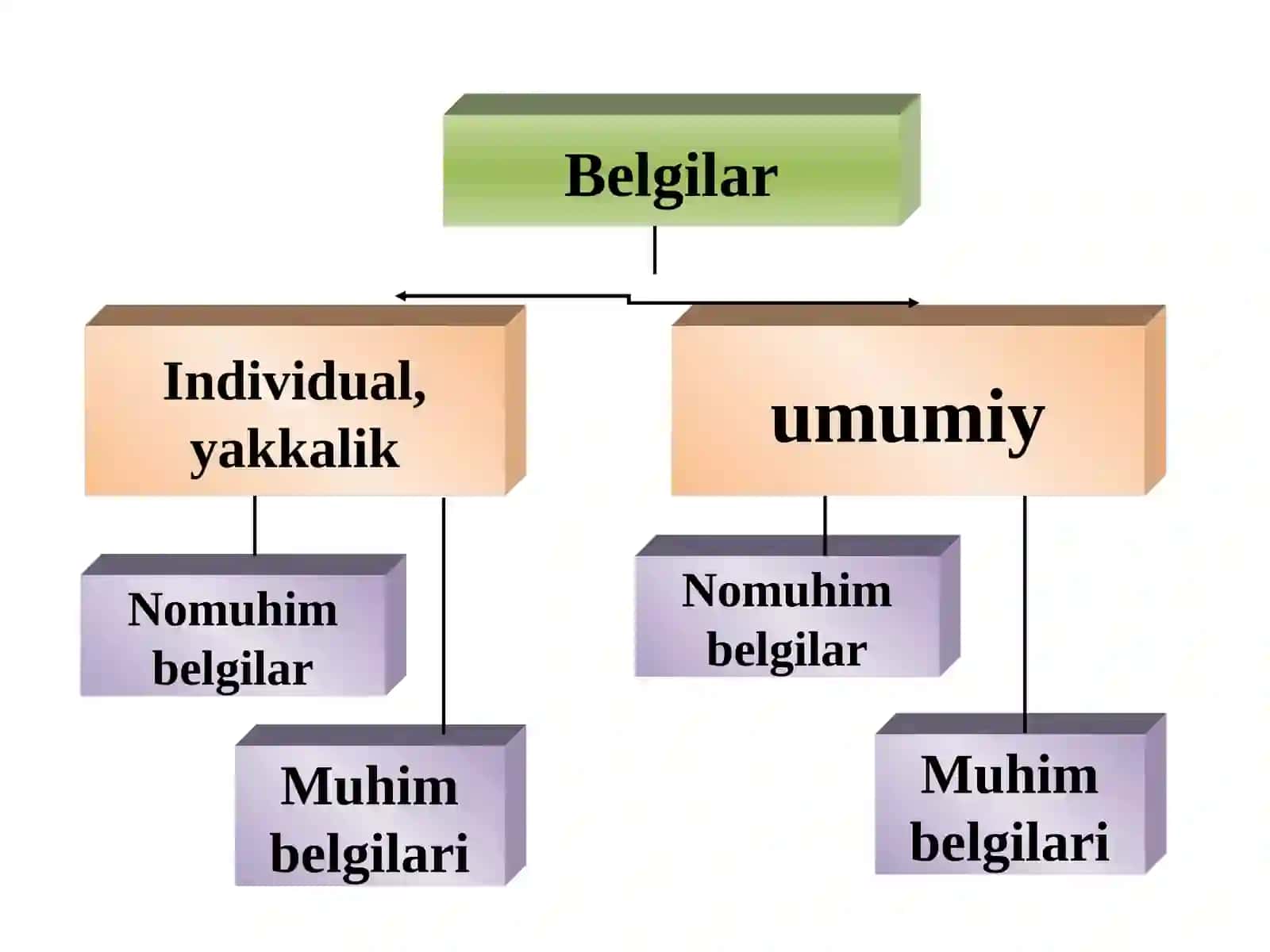 11-Mavzu.Tushunchainsontafakkuriningshakli 4