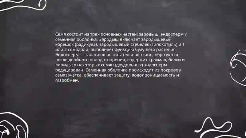 Семя 4