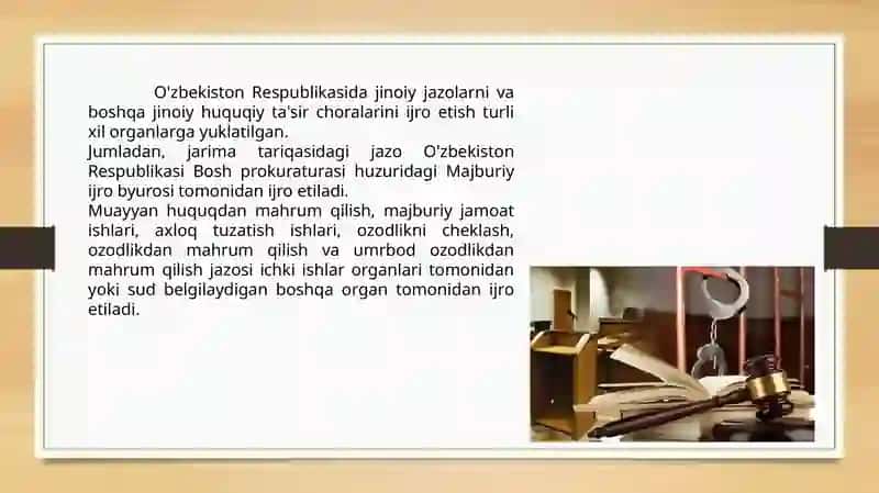 Jazolar va boshqa huquqiy ta'sir choralarini ijro etuvchi muassasalar va organlar 4