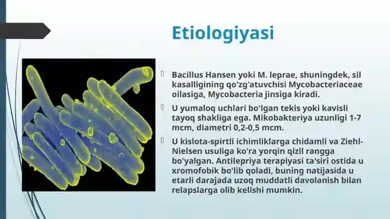 Moxov(Lepra)(Ganzenkasalligi) 4