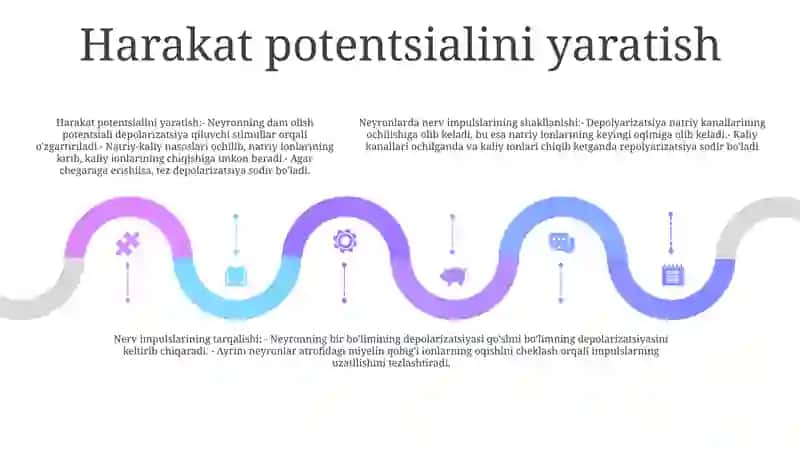 NeyronlardaNerv Impulslarini Hosil Bòlishi Mexanizmlari 4