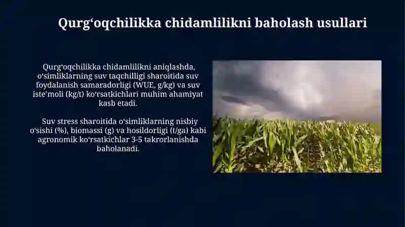 Don-dukkakli ekinlarning asosiy hususiyatlari 4