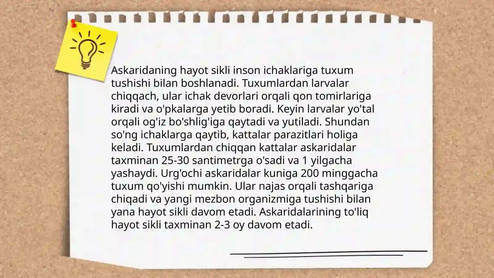 Yumaloq chuvalchanglar 4