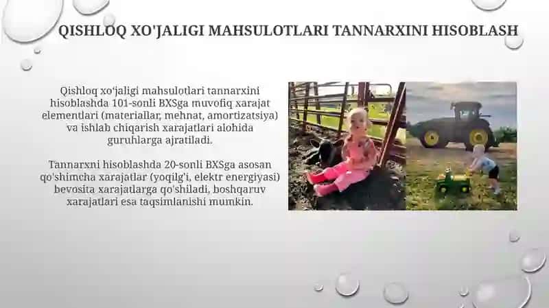 Дехкончилик ва чорвачиликда ишлаб чикариш харажатлари хисоби ва молиявий хисобот 4