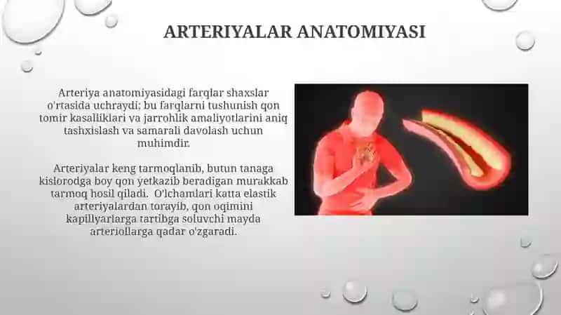 Arteriologiya 4