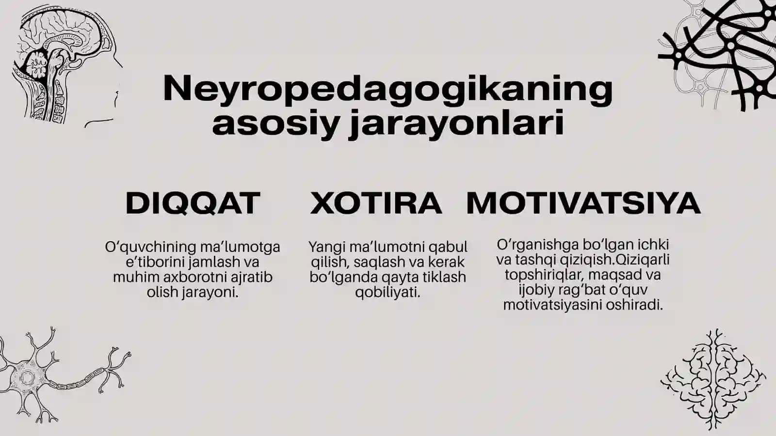 Neyropedagogika: miya va ta'lim 4