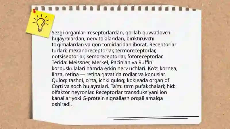 Bilish jarayonlari va sezgi 4