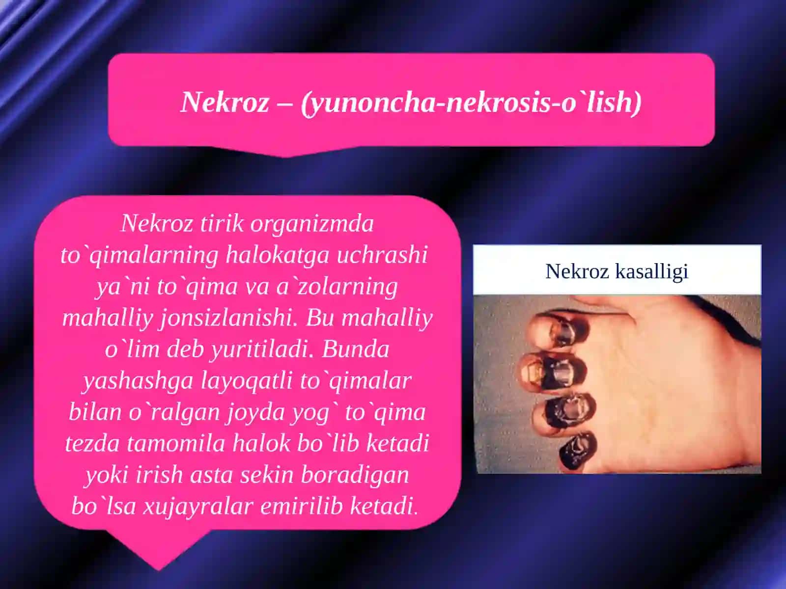 Hujayra potologiyasi. Aerob va anaerob infeksiyalar 4