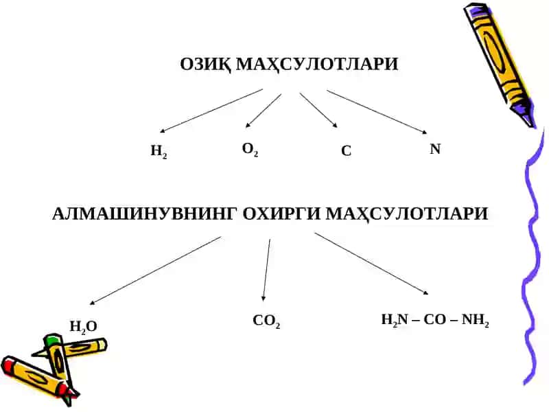 Моддалар алмашинувига кириш: биологик мембраналар 4