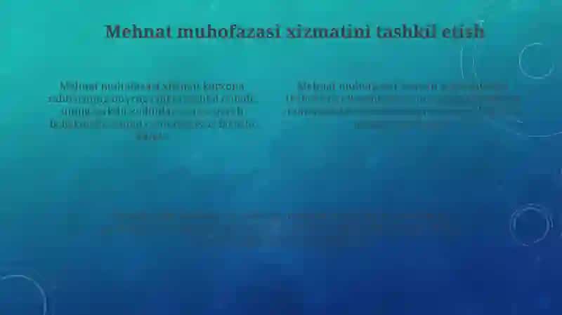 Mehnat Muhofazasi Qonunchilik Asoslari 4