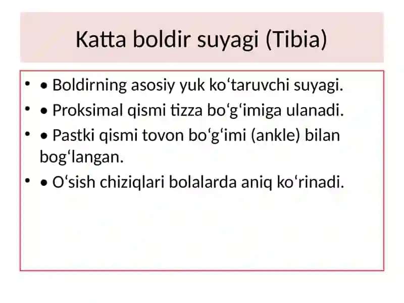 prezentatsiya 4