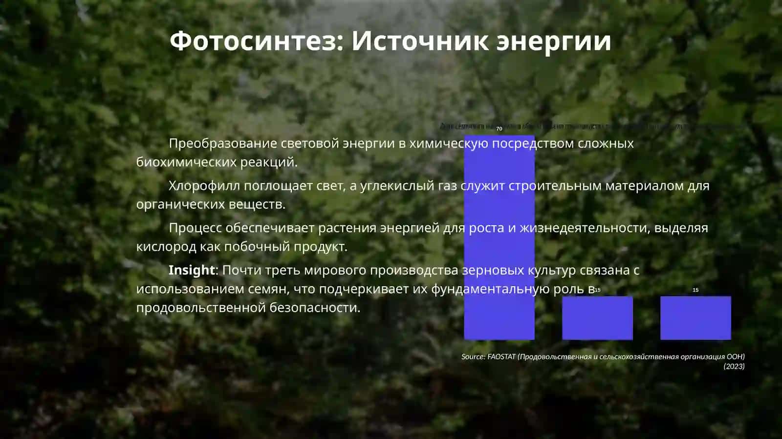 Жизненные процессы в растениях. Размножение и развитие растений. Изучение семян и плодов 4