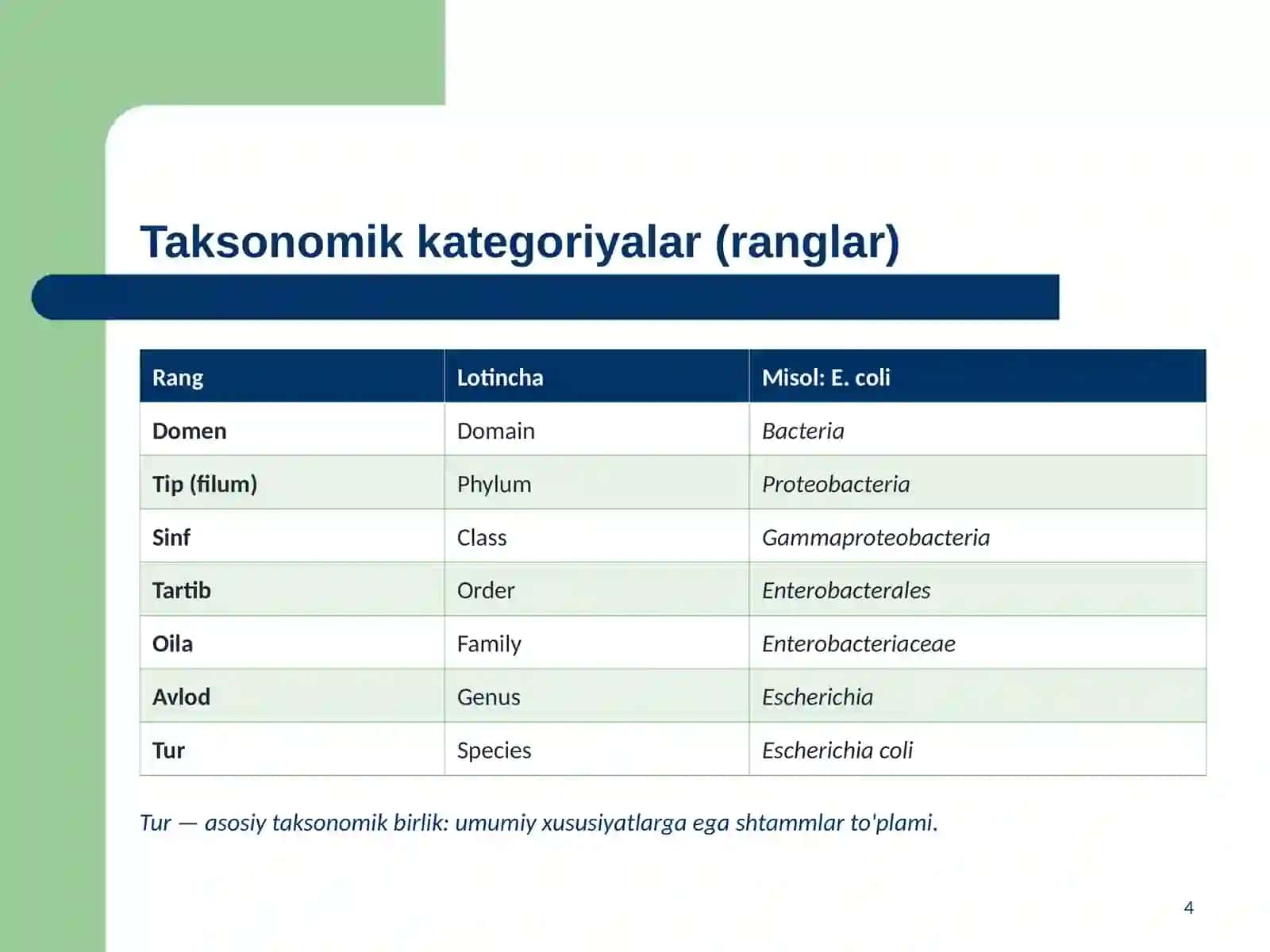 Bakteriyalami klassifikatsiyasi, toksonomiyasi va nomenklaturasi. “Berji” aniqlagichi. Bakteriyalami klassitikatsiyasiga kiritilmagan lekin amaliyotda qo‘llaniladigan tur ichidagi variantlari. (serovar, xemovar, fagovar, fermentovar va boshq) 4