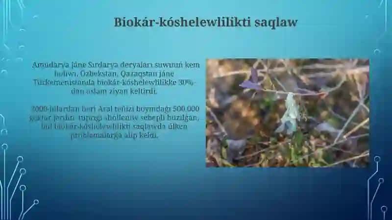 Antropogen faktorlarnıń biosferaga bolǵan ziyanlı tásirlerin azaytırıw jolı 4