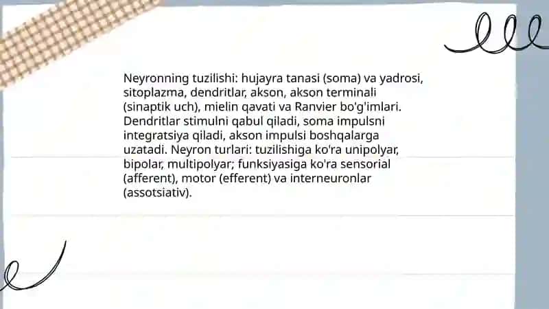 Nerv sistemasi 4
