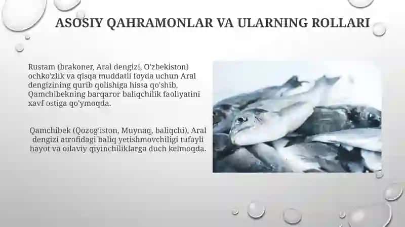 Baliq ovi 4