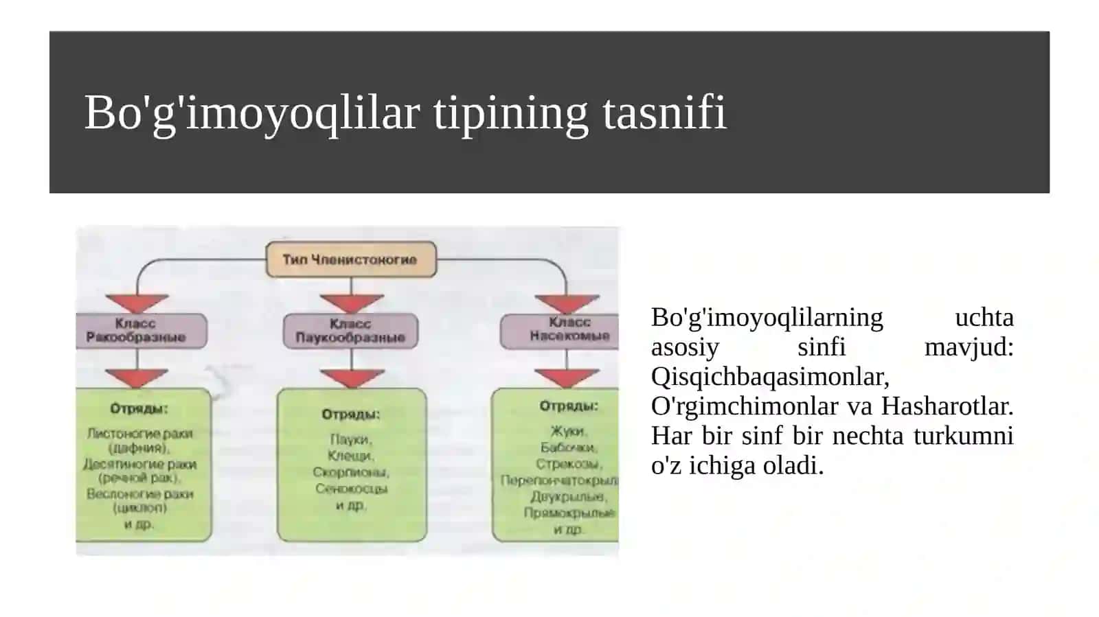 Tibbiy parazitologiya - o'rgimchaksimonlar va hasharotlar 4