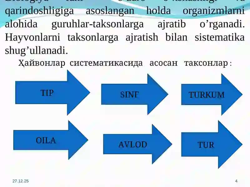 Umurtqasizlar bilan tanishuv 4