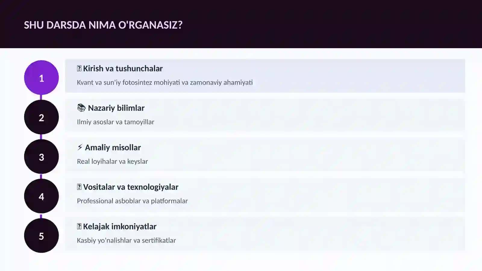 Kvant va sun'iy fotosintez 4