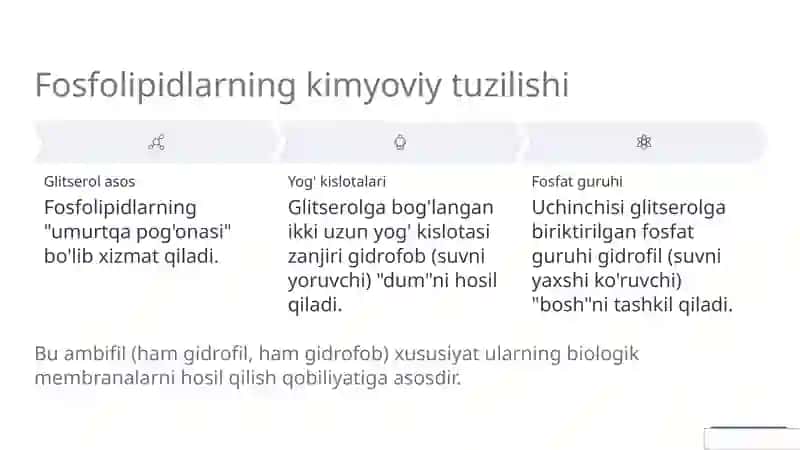 Fosfolipidlar 4
