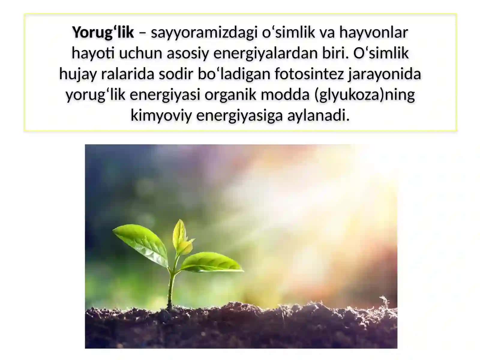 Yorug‘lik hodisalari 4
