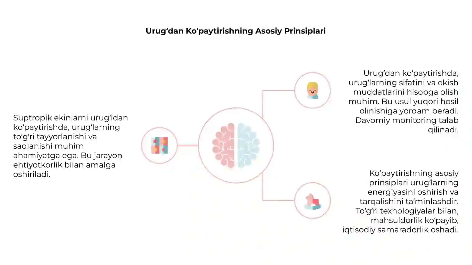 Suptropik Ekinlarning Tashrifi va Ahamiyati 4