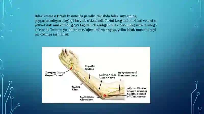 Pirogov-paronklechatkabo’shlig’inidrenajlash 4