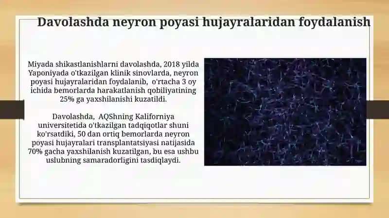 Neyral oʻzak hujayralar haqida tushuncha va uning dinamikasi 4