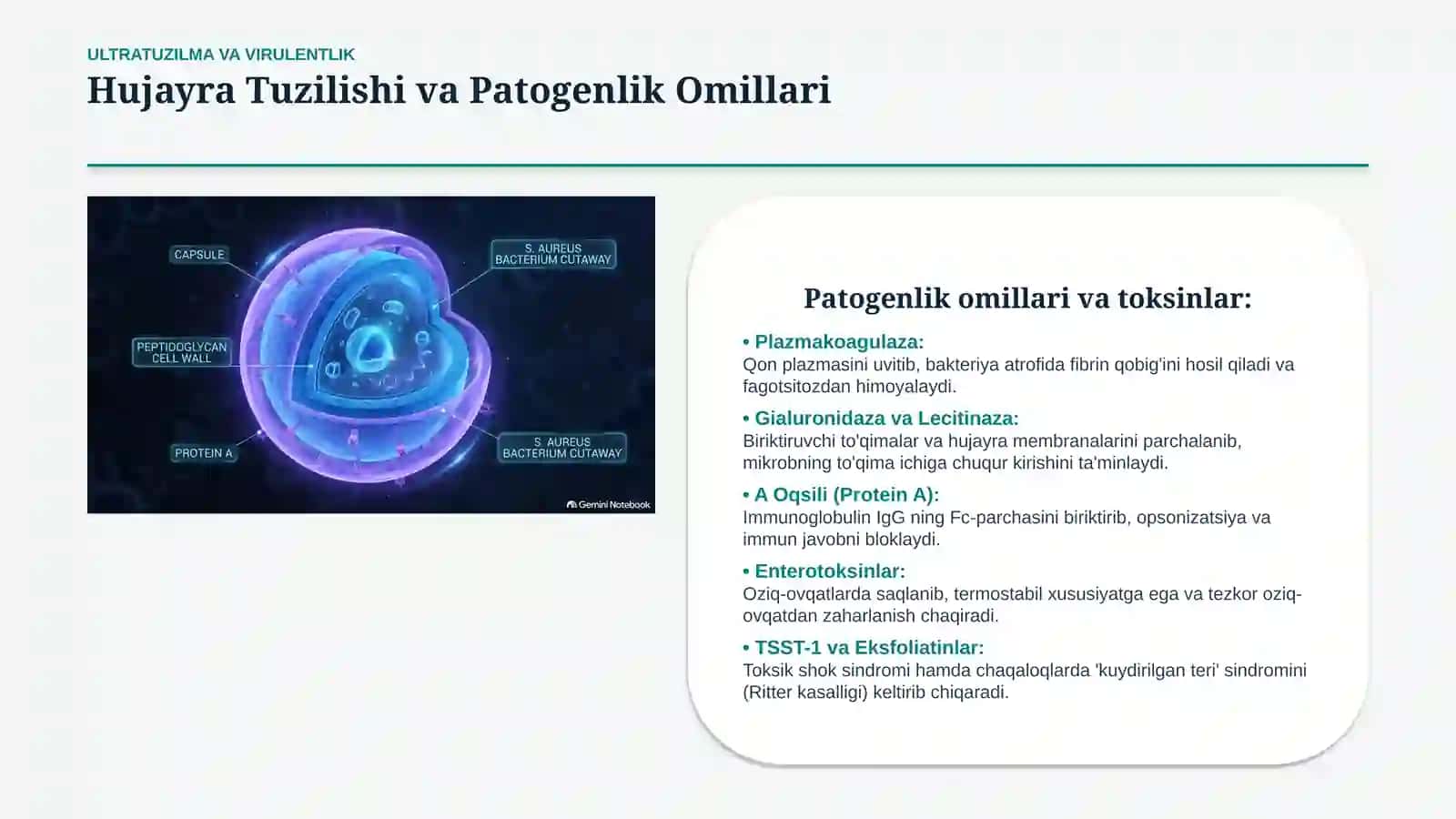 MIKROBIOLOGIYA VA LABORATORIYA DIAGNOSTIKASI 4