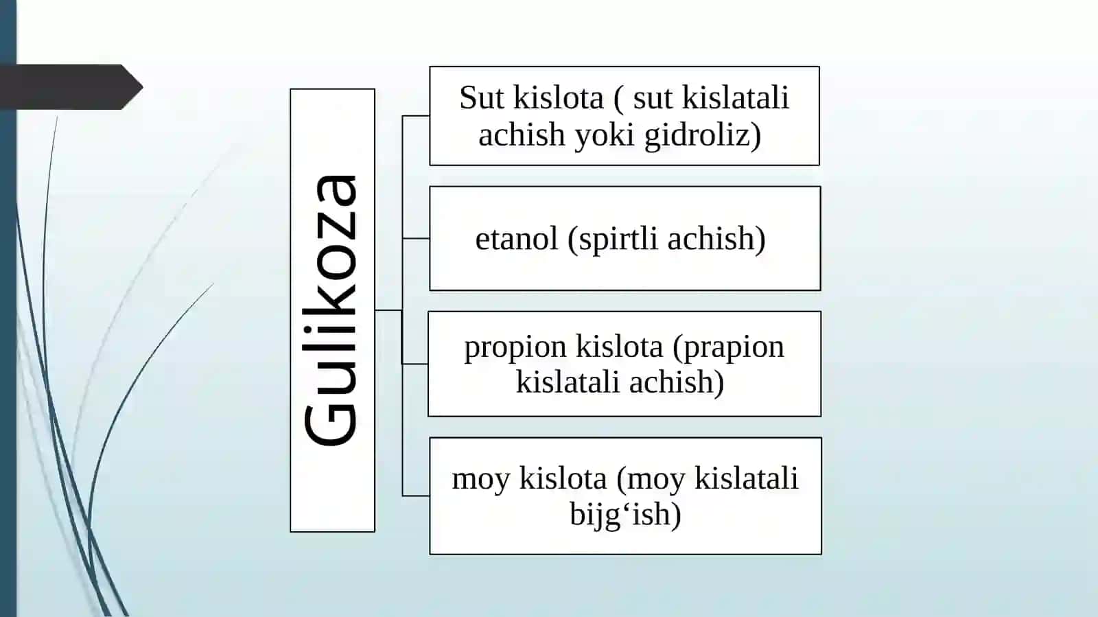 Anerobjarayonlar orqali energiya ishlab chiqarilishi 4