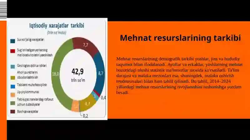 Mehnatresurslarining 2014–2024 yillardagi o‘zgarishini infografik tahlili 4