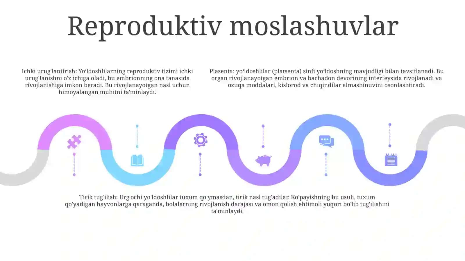 Sutemizuvchilar (Plasentaliya) Sinfchasi 4