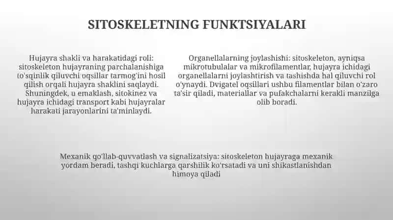 Hujayra Setoskeletining Strukturaviy Va Funksional Tashkil Etilishi 4