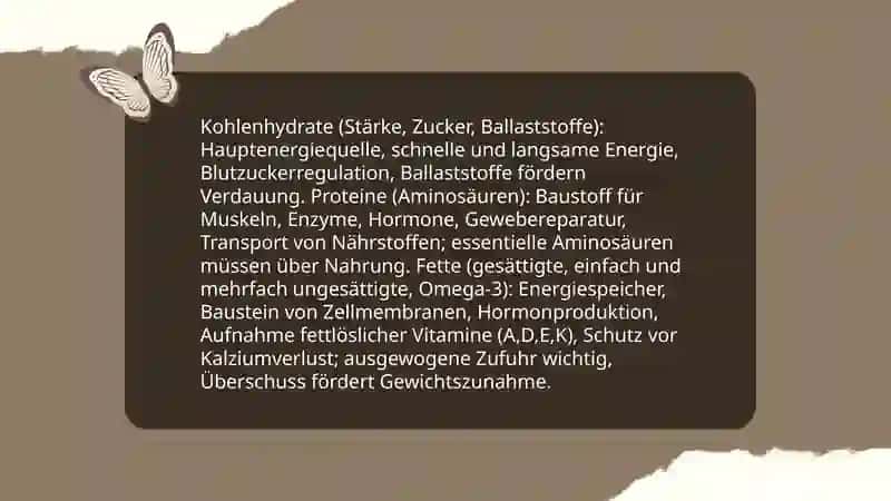Nährstoffe (Kohlenhydrate, Proteine, Fette) – Vokabeln und Funktionen 4