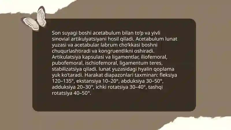 Son suyagi 4