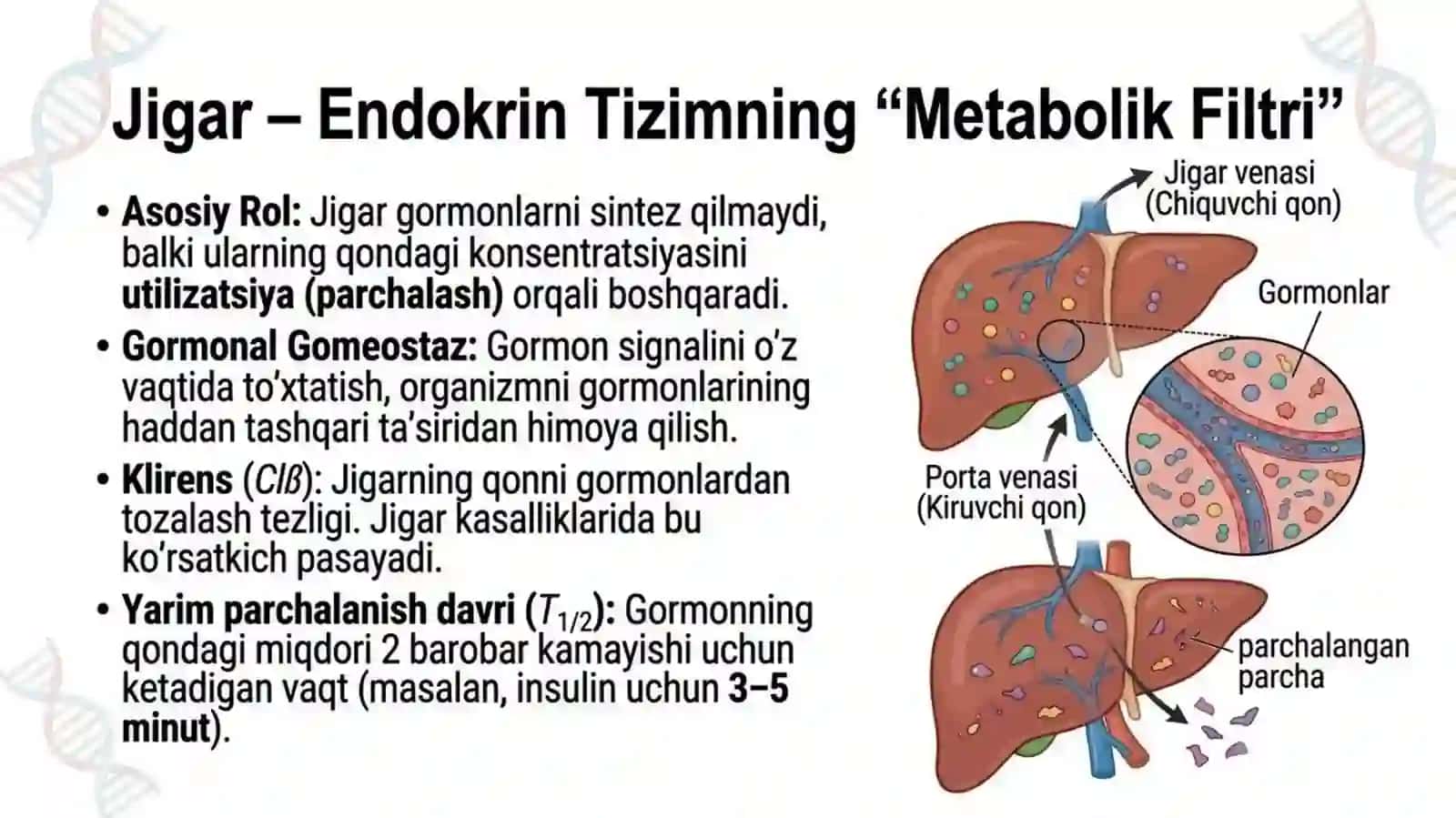 Jigardagormonlarningzararsizlantirilishi, klinik ahamiyati 4