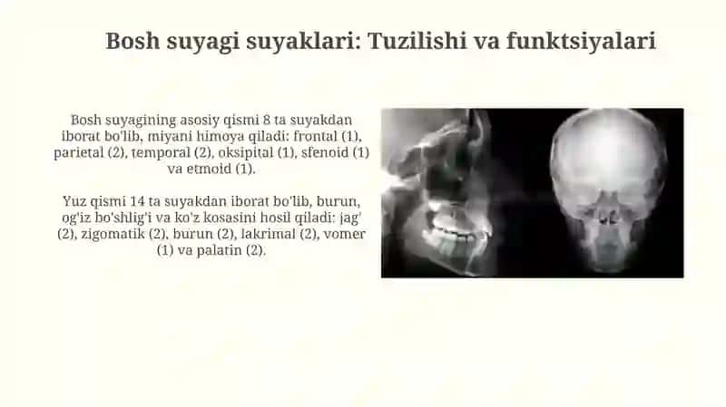 Kallasuyaklarining rentgenatomiyasi.Kallasuyagining yoshi va jinsiy tafovutlari 4