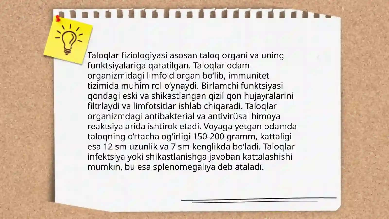 Taloq rivojlanishi va strukturaviy xususiyatlari 4