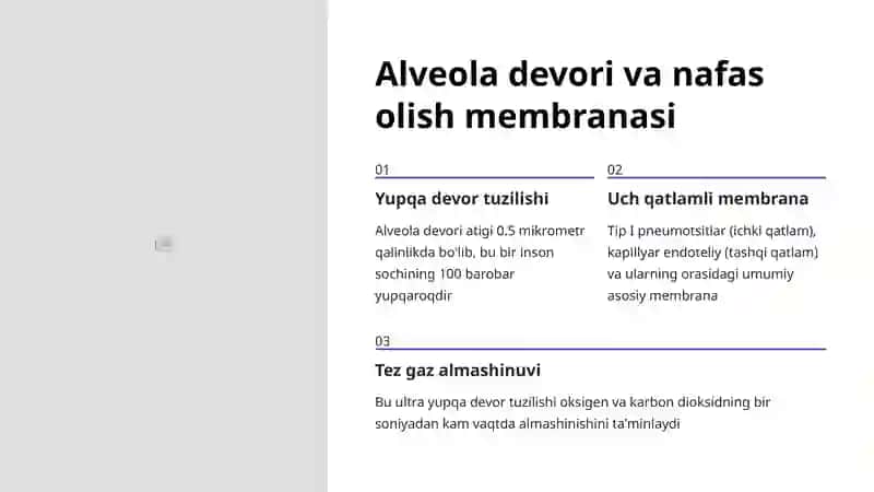 Alveolalar tuzilishi va funksiyasi 4