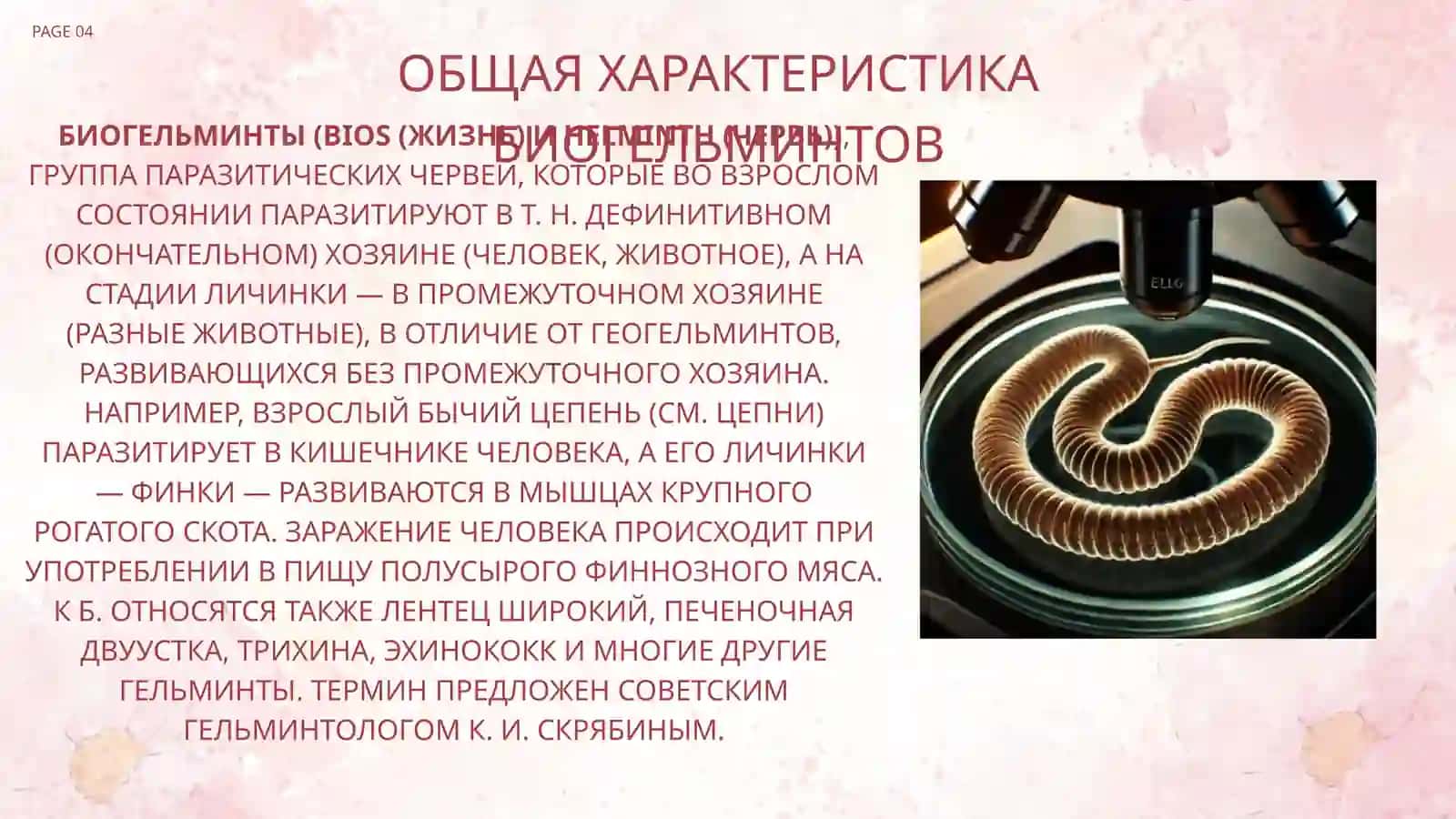 Важные представители биогельминтов 4