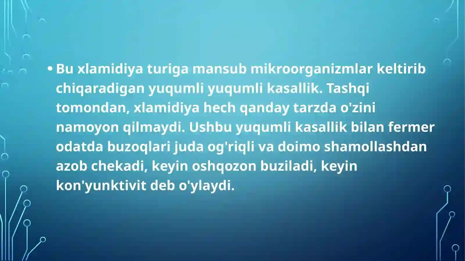 Xlamidiyalar 4