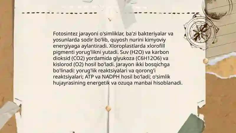 O'simliklar 4