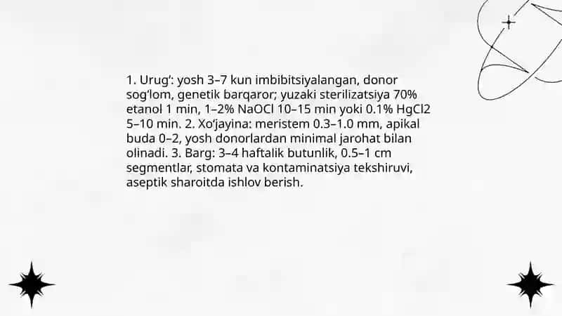 Bug’doy oʻsimlikgini mikroklonal koʻpaytirish usuli va uni foyda va zarari 4
