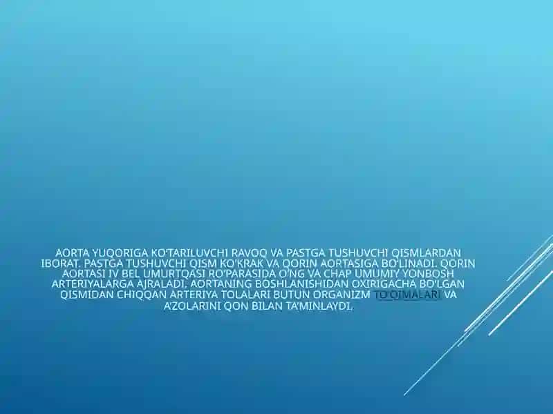 Aorta,aorta ravog’i.Umumiy,tashqi va ichki uyqu arteriyalari.Bosh miyaning qon bilan ta’minlanishi 4