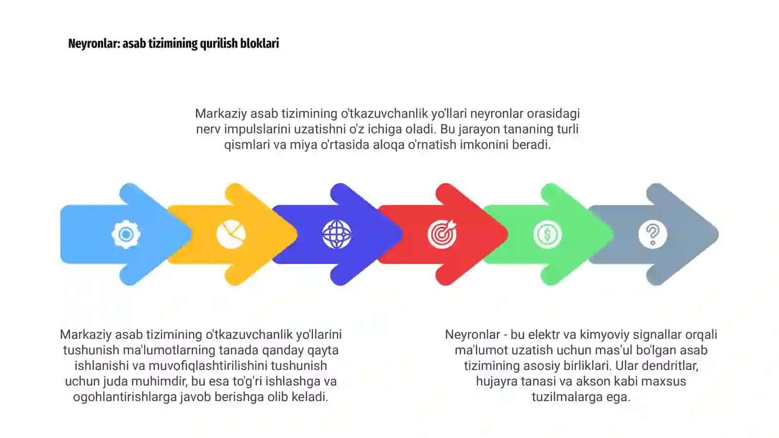 Markaziy nerv sistemasining oʻtkazuvchi yoʻllari haqida maʼlumot 4