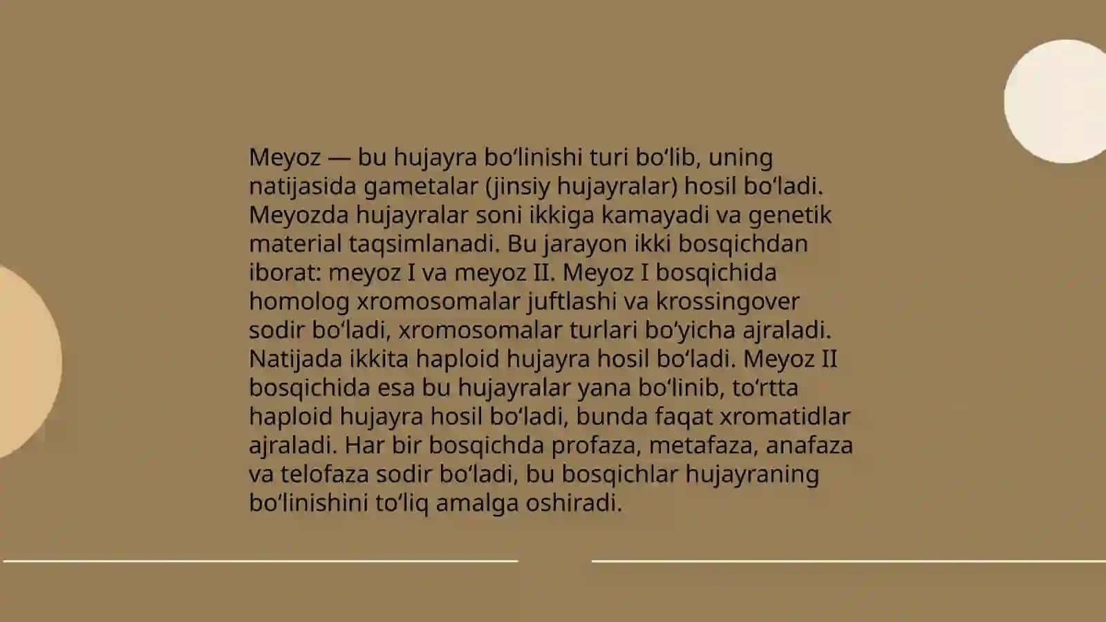 Mitoz va meyoz 4