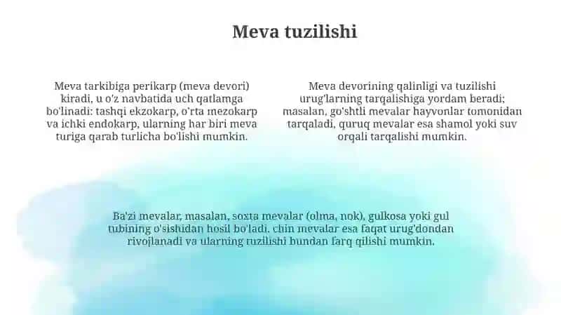 Urug' va mevaning tuzilishi 4