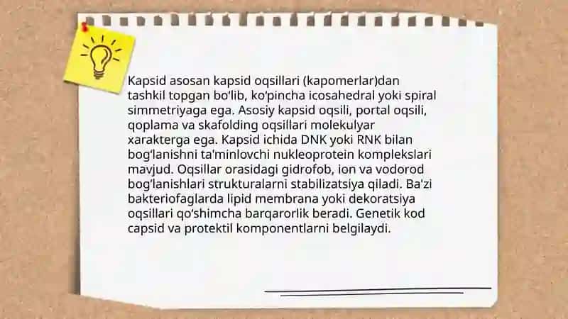 Bakteriofaglar, morfologiyasi, strukturasi, repraduksiyasi, amaliyotda qo'llanilishi 4