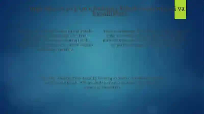 Ingichkavayogʻonichakdafunksionalvaklinikanatomiyasi 4